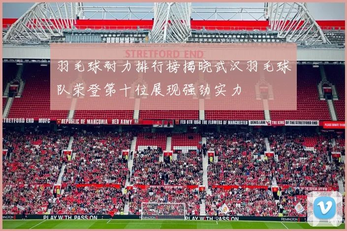 羽毛球耐力排行榜揭晓武汉羽毛球队荣登第十位展现强劲实力