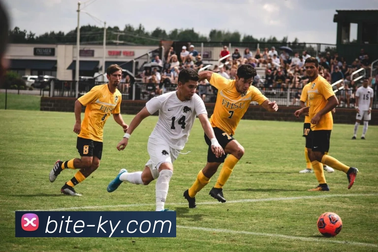 App Interface Preview