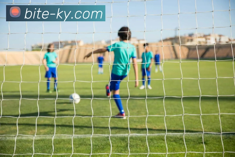 开云AppAPP 封面图